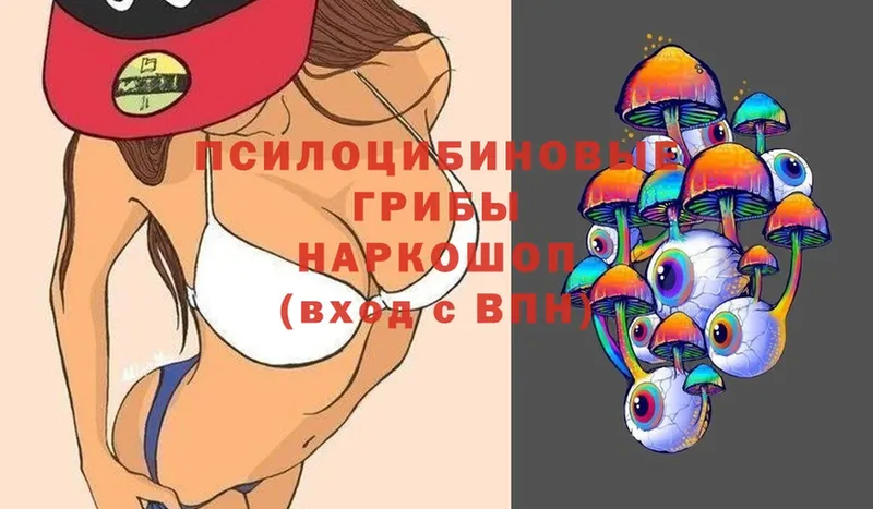 Галлюциногенные грибы Magic Shrooms  Егорьевск 