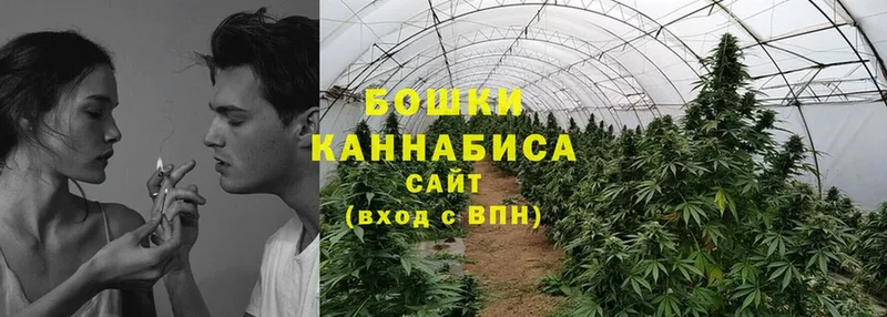 darknet как зайти  Егорьевск  Марихуана индика 